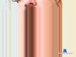 toticam1 cam4 live cam performer profile