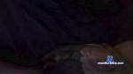 Hector_1998 cam4 livecam show performer room profile