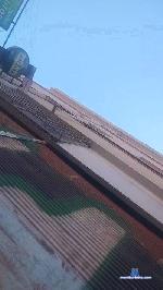 Braidqueen cam4 livecam show performer room profile