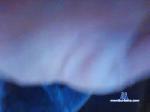 lulu42 cam4 livecam show performer room profile