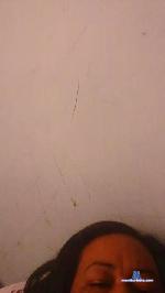 sisney5 cam4 livecam show performer room profile