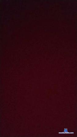 Regina_irina cam4 live cam performer profile