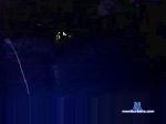 Er33mit35G cam4 livecam show performer room profile