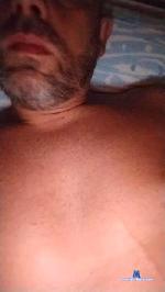 Purosangue83 cam4 livecam show performer room profile
