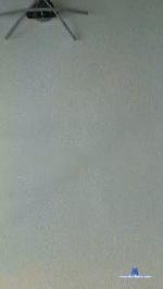 Pedrotuga2 cam4 livecam show performer room profile