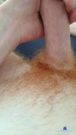 ManforMan86 cam4 live cam performer profile