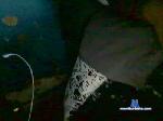 Morenochiler cam4 livecam show performer room profile