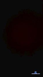 Novato49 cam4 livecam show performer room profile