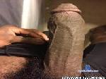 NEGRO____ cam4 livecam show performer room profile