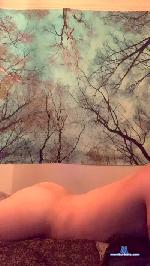 Kinkyboy97 cam4 livecam show performer room profile