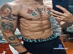 CachorroTatuado cam4 livecam show performer room profile