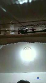 bull_1980 cam4 livecam show performer room profile