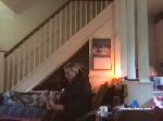 hotdaddy4you cam4 livecam show performer room profile