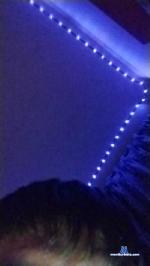 Bizaaaa cam4 livecam show performer room profile