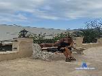 ShielaEscalera cam4 livecam show performer room profile