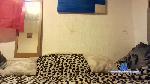cuporco cam4 livecam show performer room profile