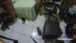 SweetFofinha cam4 live cam performer profile