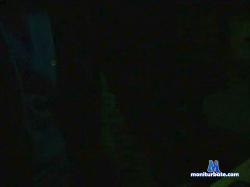 Begonia_ cam4 live cam performer profile