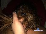 nasha_baby_girl cam4 livecam show performer room profile
