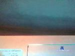 mmuscularsex cam4 livecam show performer room profile