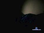 Mario6964 cam4 livecam show performer room profile
