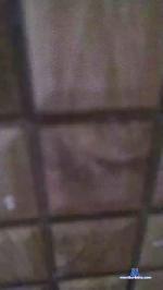 Mlk20 cam4 livecam show performer room profile