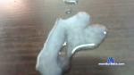 Bramdon1 cam4 livecam show performer room profile