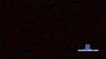 lucapoli5 cam4 livecam show performer room profile