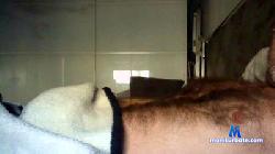 hairysoccer cam4 live cam performer profile