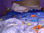 DGeorgiana cam4 livecam show performer room profile