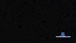 gorilla34 cam4 livecam show performer room profile