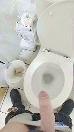 toto1891 cam4 livecam show performer room profile