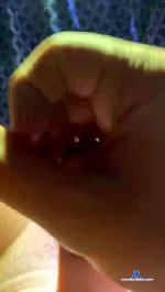 Braden95014 cam4 livecam show performer room profile