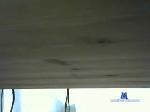 mich74530 cam4 livecam show performer room profile