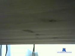 mich74530 cam4 live cam performer profile