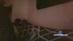 Gotassfx cam4 livecam show performer room profile