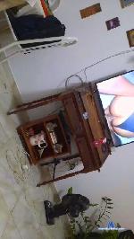 Insanos23 cam4 livecam show performer room profile