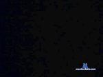 redzac cam4 livecam show performer room profile
