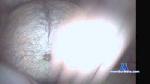 sexbbbooy cam4 livecam show performer room profile