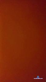 mary488 cam4 livecam show performer room profile