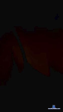 MS2020 cam4 live cam performer profile