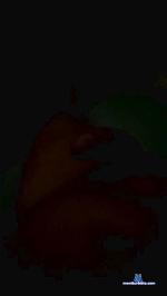 Paintman76 cam4 livecam show performer room profile
