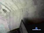 vicky061 cam4 livecam show performer room profile