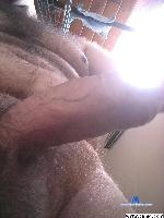 maxcharles56 cam4 livecam show performer room profile