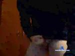 minicook cam4 livecam show performer room profile