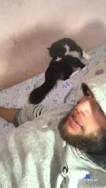 Pollymorenaa cam4 livecam show performer room profile