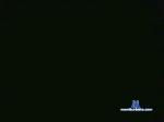 szexcam782 cam4 livecam show performer room profile