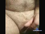 sexallnite cam4 livecam show performer room profile