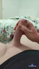 elfanegas cam4 livecam show performer room profile
