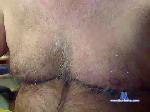 danybxl cam4 livecam show performer room profile